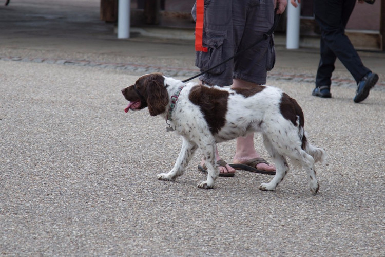 194947-eeb62-102231725-m750x740-ud3421.j