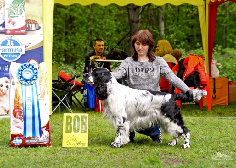 194947-f9a75-102231469-m750x740-u1d19e.j